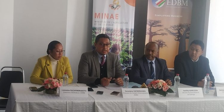 FILIÈRE BIO – Des opérateurs malgaches en quête de partenaires et d’investisseurs pour la promotion de l’agriculture biologique à Madagascar durant le salon international Biofach
