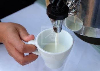 PRODUCTION LAITIÈRE – Un objectif annuel de 143 millions de litres de lait à atteindre dans les trois prochaines années selon la Malagasy dairy board