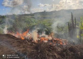 CONSOMMATION – 150 tonnes de riz importés pourris, dont du « vary tsinjo », détruits à Toamasina, les consommateurs appelés à la vigilance