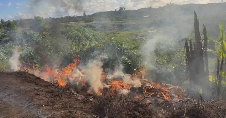 CONSOMMATION – 150 tonnes de riz importés pourris, dont du « vary tsinjo », détruits à Toamasina, les consommateurs appelés à la vigilance