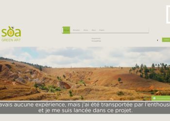 ENVIRONNEMENT – A la rencontre de passionnés du reboisement pour apprécier ce qu’est un reboisement réussi
