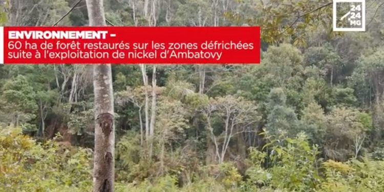 ENVIRONNEMENT – 60 ha de forêt restaurés sur les zones défrichées suite à l&rsquo;exploitation de nickel d&rsquo;Ambatovy