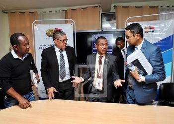 ENVIRONNEMENT – Les causes des décès des baleines échouées sur les plages malgaches toujours en cours d&rsquo;identification, les autorités évoquent un phénomène généralisé dans l&rsquo;océan Indien