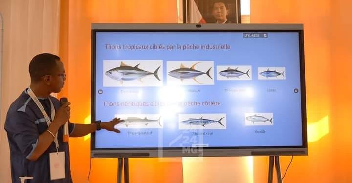 PÊCHE – Les captures effectuées par les bateaux européens n’affecteront pas les activités des petits pêcheurs malgaches, soutient le ministre de la Pêche et de l&rsquo;économie bleue