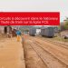 TOURISME – Des nouveaux circuits à découvrir dans le Vatovavy et le Fitovinany faute de train sur la ligne FCE