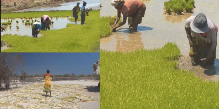 Nos aires protégées sont vitales pour notre développement.