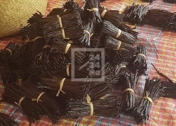 COMMERCE – Les préparateurs et les exportateurs de vanille s&rsquo;inquiètent de l&rsquo;absence d&rsquo;acheteurs internationaux alors que le mois d&rsquo;Octobre s&rsquo;achève, le ministère en charge du Commerce annonce la publication très prochaine de la liste des acheteurs