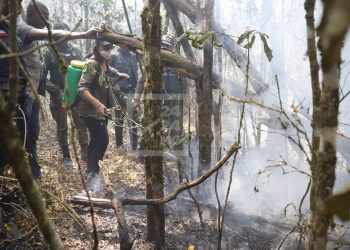 ENVIRONNEMENT – Les feux survenus dans la réserve d&rsquo;Ambohitantely maîtrisés après 19 jours de lutte contre les flammes, les superficies perdues en cours d&rsquo;évaluation