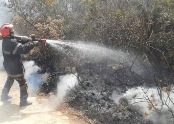 ENVIRONNEMENT – 600 citoyens mobilisés pour participer à une opération d’extinction de feux de forêt à la réserve spéciale d’Ambohitantely-Ankazobe ce vendredi