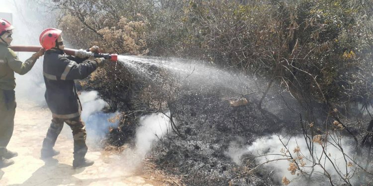 ENVIRONNEMENT – 600 citoyens mobilisés pour participer à une opération d’extinction de feux de forêt à la réserve spéciale d’Ambohitantely-Ankazobe ce vendredi