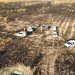 ENVIRONNEMENT – 90 % de la zone de reboisement de Marohogo parti en fumée dimanche, Vina Marie Orléa, ministre de l&rsquo;Environnement et du développement durable indique qu&rsquo;il n&rsquo;y aura aucune tolérance envers les auteurs des faits.