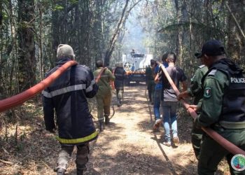 ENVIRONNEMENT – Un Centre de coordination et d&rsquo;opérationnalisation mis en place pour lutter contre les feux de brousse et de forêts, un nouveau logiciel appelé Aroafo Data pour une gestion numérique des opérations