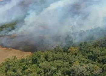 INCENDIE – La plupart des 980 points de feux signalés le mardi 11 Octobre notés dans l&rsquo;Est et le Sud-Est, selon le ministère de l&rsquo;Environnement et du développement durable
