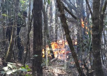 PARLEMENT – La présidente de l’Assemblée nationale demande au Premier ministre d’augmenter le budget alloué à la lutte contre les feux de brousse et les feux de forêts