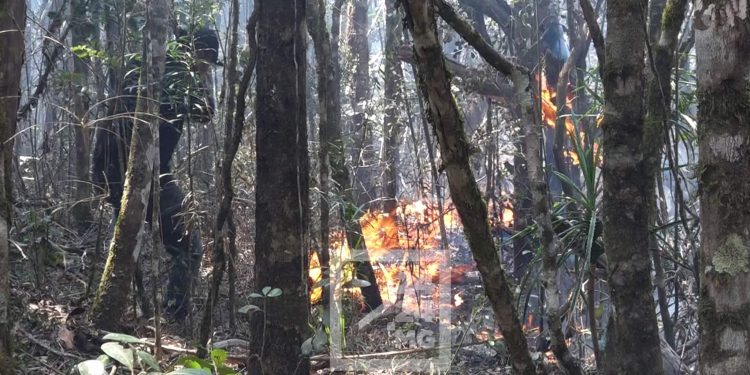 PARLEMENT – La présidente de l’Assemblée nationale demande au Premier ministre d’augmenter le budget alloué à la lutte contre les feux de brousse et les feux de forêts