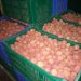 COMMERCE – Autorisation de collecte de litchis pour 1.075 opérateurs de litchis dans la région Atsinanana, près de 14.000 tonnes sont prévus être exportés cette année