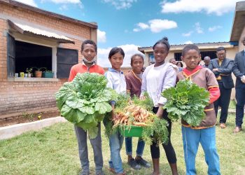 EDUCATION – 4.500m² de jardins potagers aménagés dans 17 établissements scolaires de la capitale pour lutter contre la malnutrition