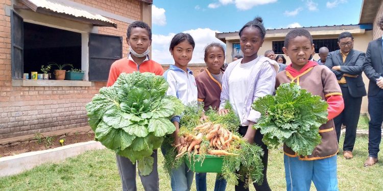 EDUCATION – 4.500m² de jardins potagers aménagés dans 17 établissements scolaires de la capitale pour lutter contre la malnutrition