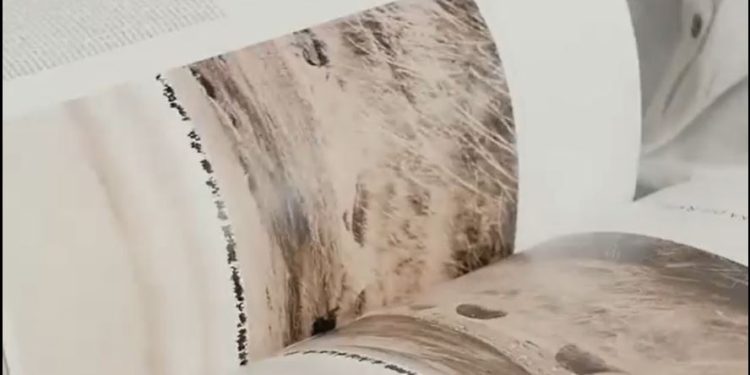 JEAN LOUP PIVIN, FONDATEUR DE REVUE NOIRE – « C’est important de faire sortir des personnalités qui n’étaient jamais montrées »