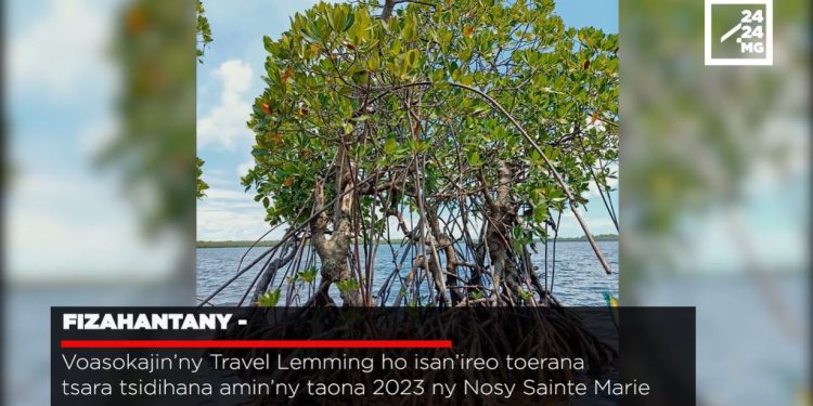 VAOVAO – MINUTE FLASH 17 NOVAMBRA 2022