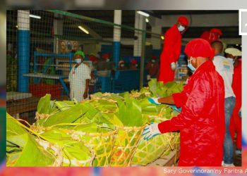 VAOVAO – MINUTE FLASH 23 NOVAMBRA 2022