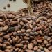COMMERCE – Les produits agricoles et forestiers exportés soumis à un impôt de 3% de leur prix