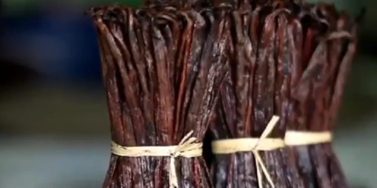 EXPORTATION – Deux gérants de société exportatrice de vanille placés en détention préventive pour non rapatriement de 3,495 milliards d’ariary de devises