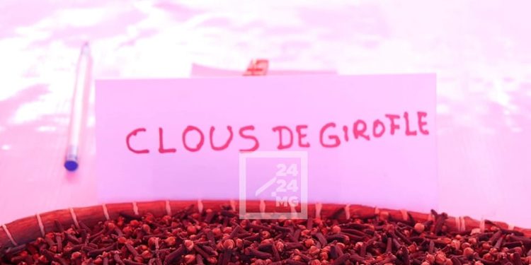 FILIERE DE RENTE – 79 sociétés autorisées à exporter du girofle pour la campagne 2022-2023