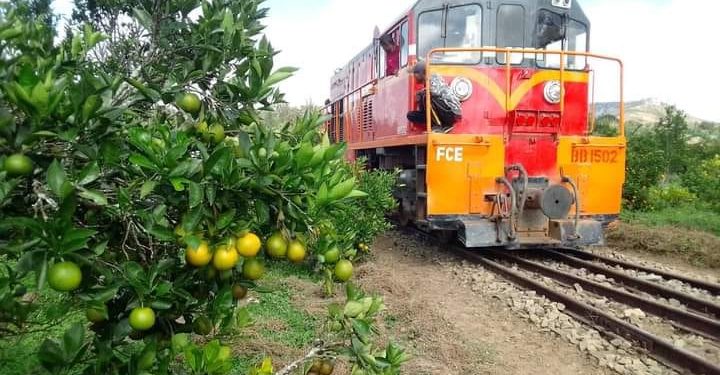 TRANSPORT FERROVIAIRE – Une locomotive de Madarail à envoyer à Fianarantsoa pour assurer la ligne Fianarantsoa – Côte Est en attendant la réparation du système de freinage des locomotives espagnoles