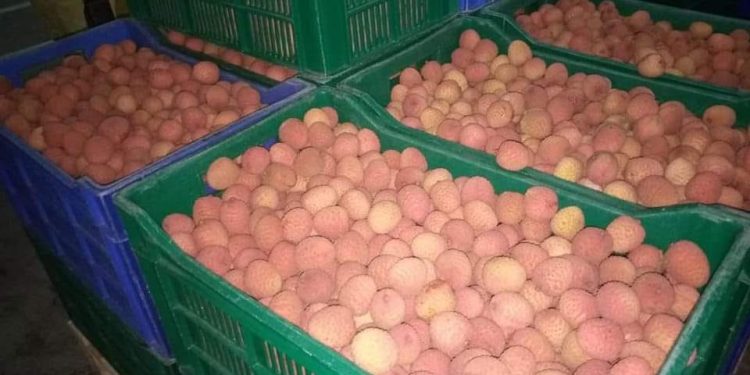 COMMERCE EXTÉRIEUR – Le litchi malgache continue de se vendre sur le marché européen