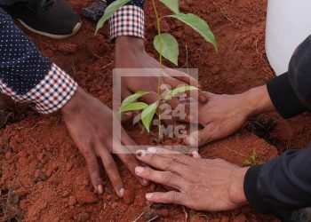 ENVIRONNEMENT – 100 ha de terrain à reboiser durant l&rsquo;ouverture de campagne de reboisement le 19 Janvier