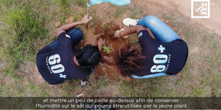 ENVIRONNEMENT – Un reboisement réussi en quatre étapes.