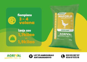Ny provandy ho an&rsquo;ny AKOHO GASY vokarin&rsquo;ny orinasa AGRIVAL dia hitanao eny amin&rsquo;ny mpanjinjara akaiky anao rehetra. Ny fampiasana azy dia ahazoanao 1,9kg ao anatin&rsquo;ny 4 volana ary feno ny singa rehetra ilaina amin&rsquo;ny fitomboan&rsquo;ny biby fiompinao