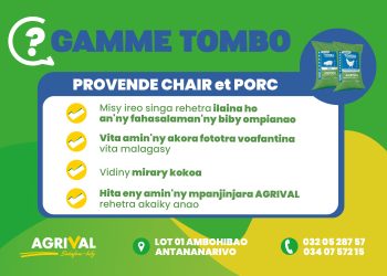 🔴 PROVANDY TOMBO ho an&rsquo;ny kisoa sy ho an&rsquo;ny akoho fakàna nofo : ➡️ Misy ireo singa rehetra ilaina ho an&rsquo;ny fahasalaman&rsquo;ny biby ompianao. ➡️Vita amin&rsquo;ny akora fototra voafantina vita malagasy. ➡️Vidiny mirary kokoa. ➡️Hita eny amin&rsquo;ny mpanjinjara AGRIVAL rehetra akaiky anao.