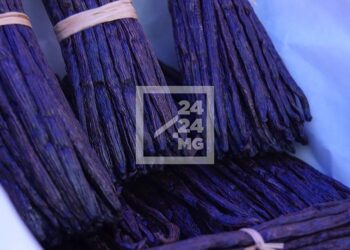 COMMERCE – Les exportateurs de vanille invités à discuter des problèmes de la filière au cours d’une table ronde