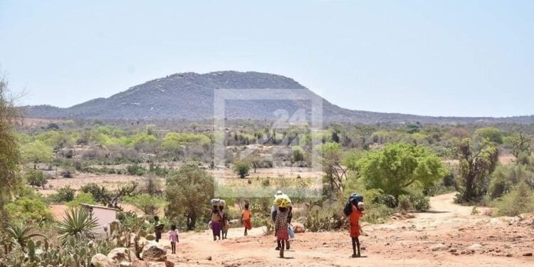 INSÉCURITÉ ALIMENTAIRE – La situation du Sud de Madagascar toujours précaire, les enfants en font les frais et un manque budgétaire énorme reste à combler
