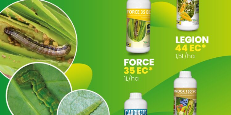 Vahaolana mahomby hiadina amin&rsquo;ny « chenille légionnaire » : INDOX, FORCE, LEGION ary CARDIN. Mila ampifandimbiasina ny fampiasana azy mba ahazoanao vokatra tsara kokoa. Raha mila torohevitra, afaka manoro anao ireo teknisianina, manoràta amin&rsquo;ny hafatra miafina amin&rsquo;ny pejy Agrivet https://www.facebook.com/agrivetmada?mibextid=ZbWKwL