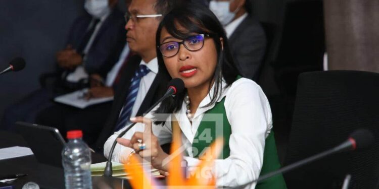 CONJONCTURE – Les minerais stratégiques comme le nickel et le graphite portent l’économie malgache