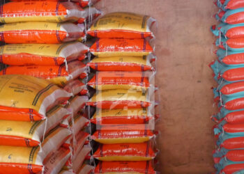 CONSOMMATION – Près de 69 000 tonnes de riz importés au mois de janvier soit une hausse de 24871 tonnes par rapport à la même période en 2022