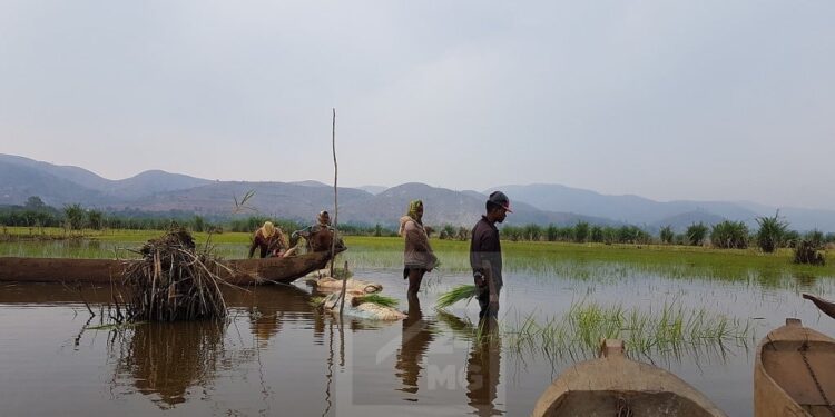 INSÉCURITÉ – Couvre-feu instauré dans le district d&rsquo;Ambatondrazaka et Amparafaravola