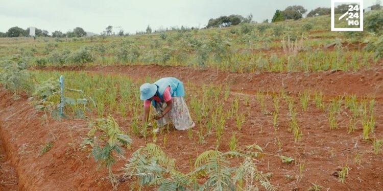 INTEMPERIES – La nouvelle gouverneure d’Amoron’i Mania au taquet pour s’attaquer aux urgences