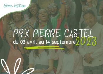 ENTREPRENEURIAT – L&rsquo;inscription au prix Pierre Castel ouverte à partir de ce lundi
