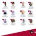 CONCOURS – 19 candidats en bataille ce mardi après-midi pour représenter Madagascar à la finale internationale de Ma Thèse en 180 secondes