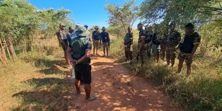 ENVIRONNEMENT – Dix personnes placées en détention préventive et quatre autres arrêtées pour culture illégale dans la zone de l&rsquo;aire protégée de Menabe Antimena