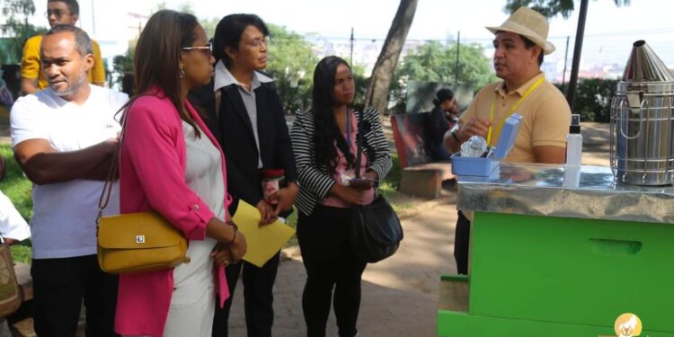 ÉLEVAGE – Un million de ruches modernes à distribuer dans tout Madagascar pour promouvoir la filière apicole