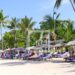 VOYAGE – Plus de 50 000 touristes ont été enregistrés par le ministère du Tourisme durant les quatre premiers mois de 2023