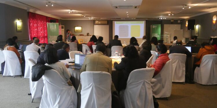 AGRICULTURE – Formation des formateurs pour une gestion holistique des risques agricoles à Madagascar 