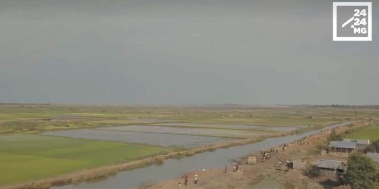 AGRICULTURE – La plaine de Marovoay perdrait annuellement entre 2 et 4% de sa surface cultivable à cause d’un début de sédimentation aux alentours du parc d’Ankarafantsika
