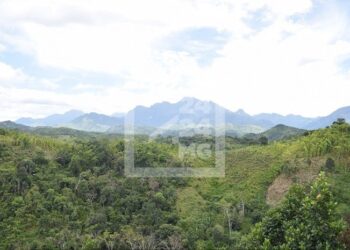 RECHERCHES – Plus de 25 000 publications scientifiques sur la biodiversité de Madagascar depuis 1990