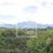 RECHERCHES – Plus de 25 000 publications scientifiques sur la biodiversité de Madagascar depuis 1990
